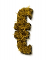 symbol letter initial EURO autumn grass ultra realistic
