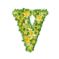letter initial V spring colorful blooming with vivid green leaves yellow flowers ultra realistic