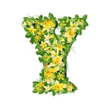 letter initial Y spring colorful blooming with vivid green leaves yellow flowers ultra realistic